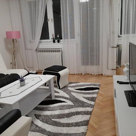 Apartman Hana Sanski Most Eksteriør billede