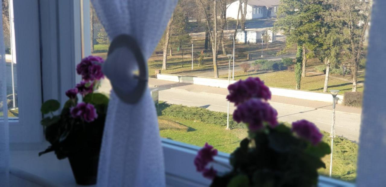 Apartman Hana Sanski Most Eksteriør billede